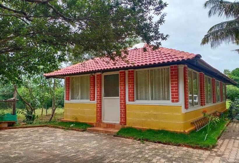 스탠다드 룸, Kabini Farm Stay