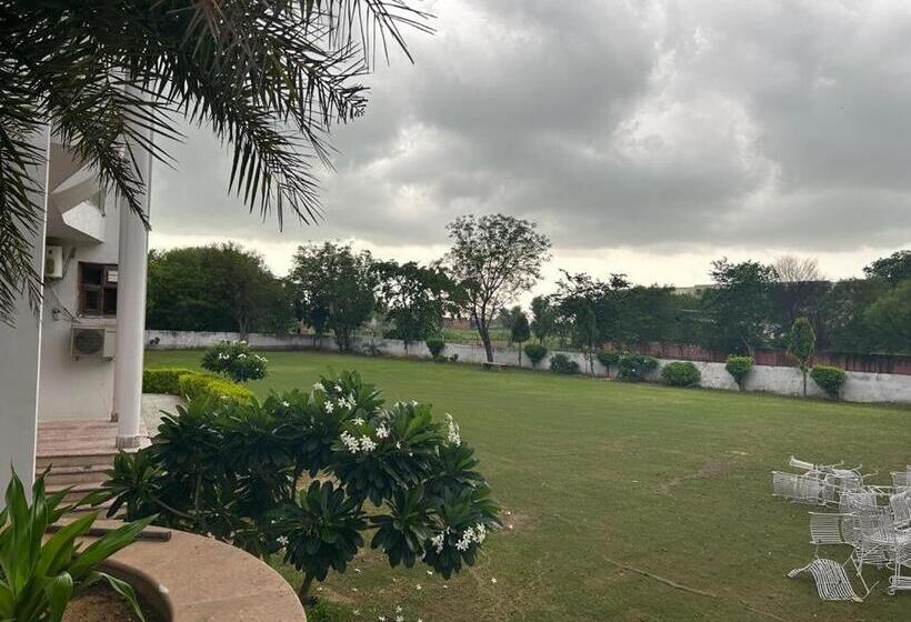 带大床的标准间, Pool Loft