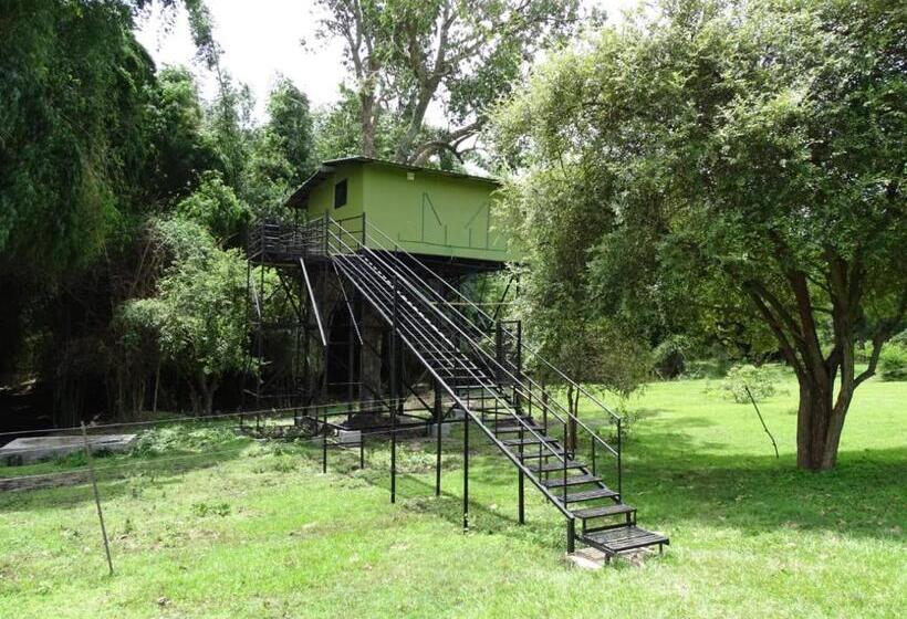 Номер Стандартный с Видом, Secret Ivory