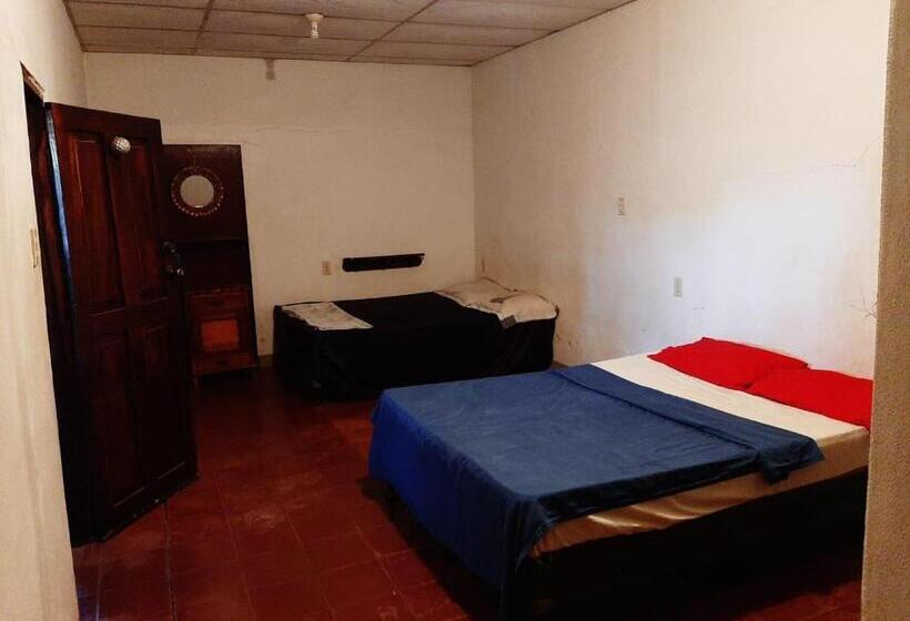 اتاق اکونومی, Casa Ballena Cósmica