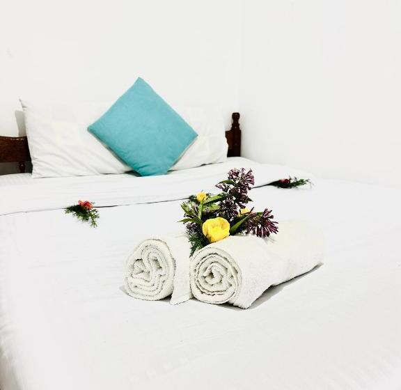Quarto Estandar, Wild Trekkers