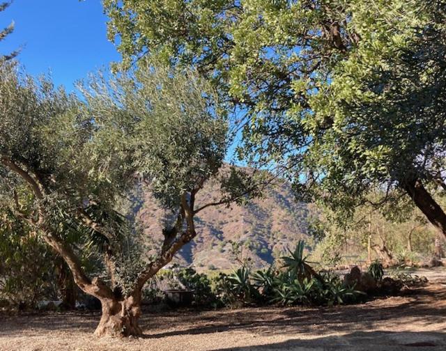 标准间带山景, Casa Del Sueño