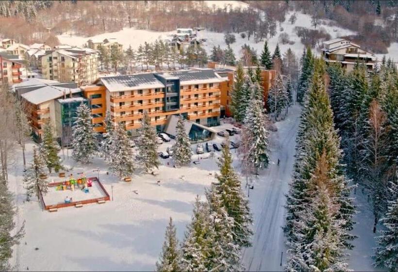 سوئیت با بالکن, Bakuriani Inn A112