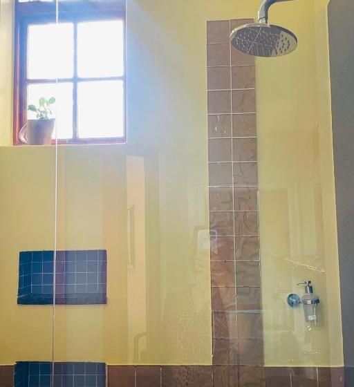 غرفة قياسية, Ami Vine House