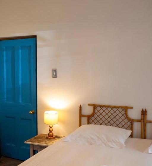 غرفة قياسية, Ami Vine House