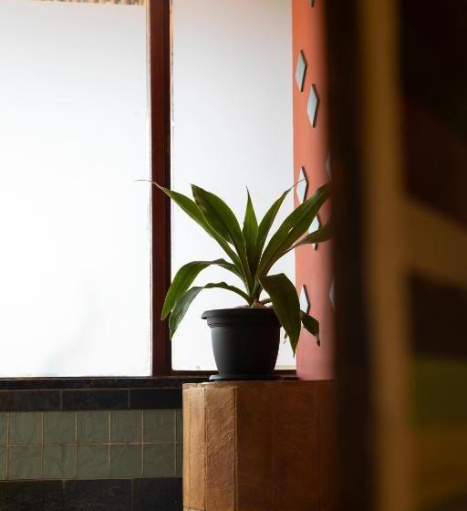 غرفة قياسية, Ami Vine House