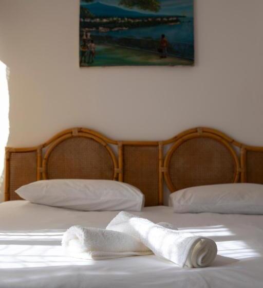 غرفة قياسية مطلّة علي حمام السباحة, Ami Vine House