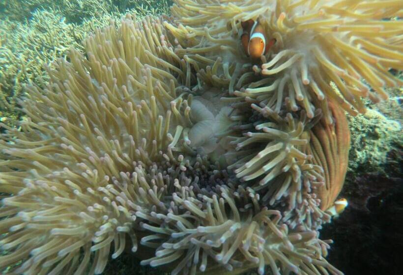 חדר משפחתי נוף לים, Private Island Guest House