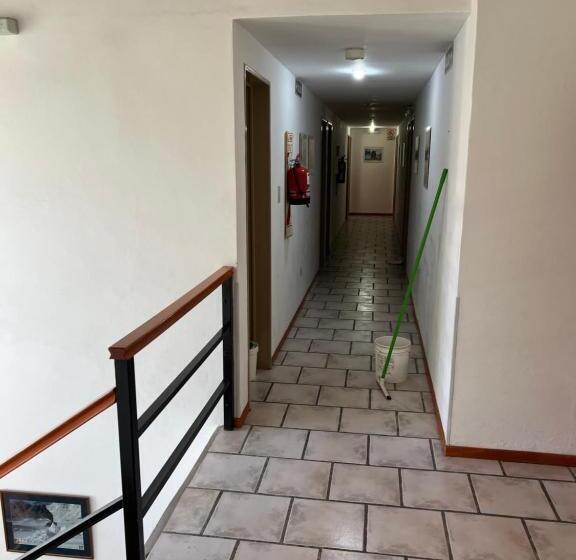 标准间, Sur Sur Patagónico