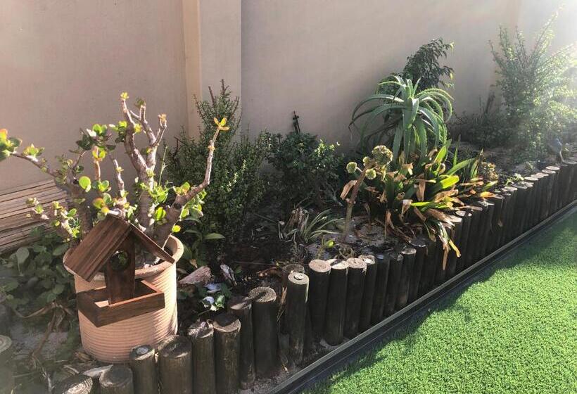 غرفة قياسية, Aderem Blus Rooms