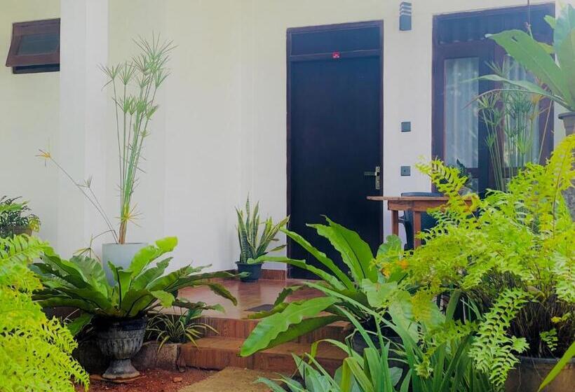 标准三人间, Dimuthu Green Villa