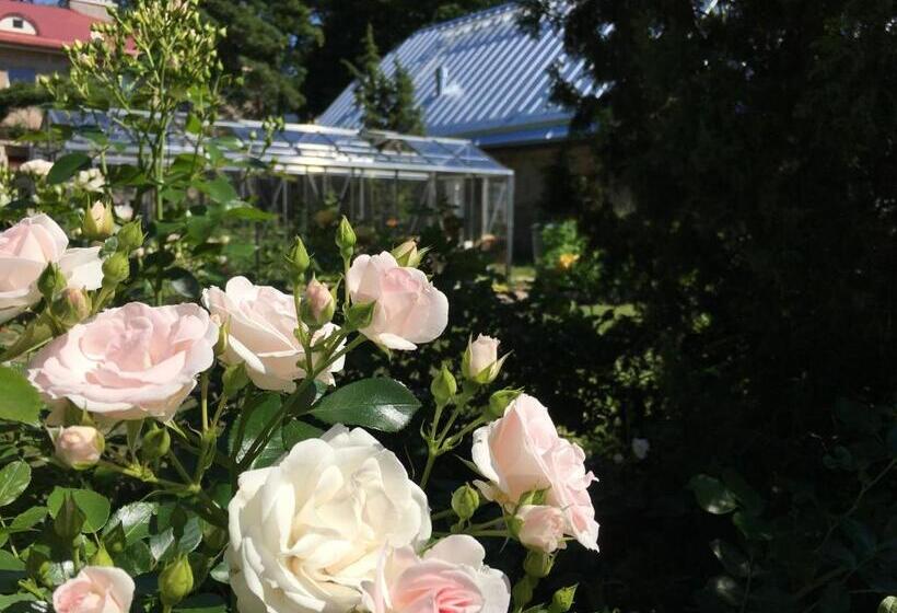 اتاق استاندارد, Harmoonikum