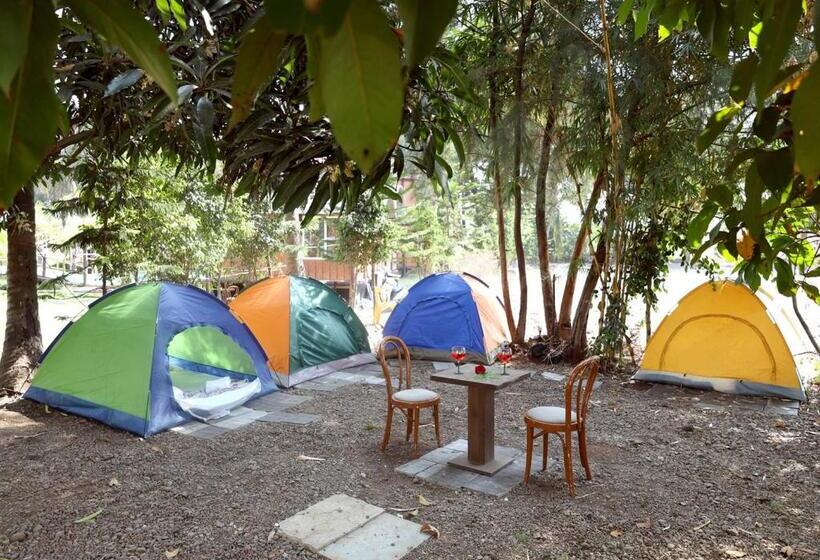 Standard Tent, Sahyadri Pride