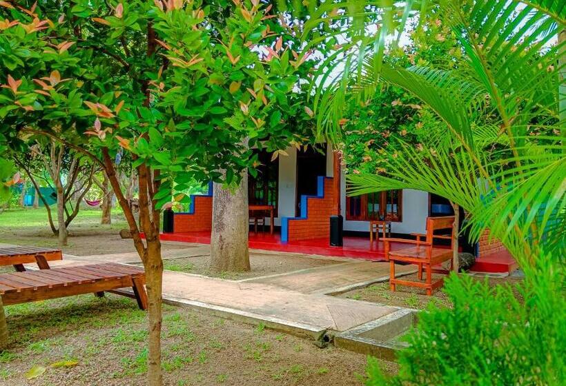 Стандартный Номер Кровать Кинг, Pride Rock Villa & Tree House