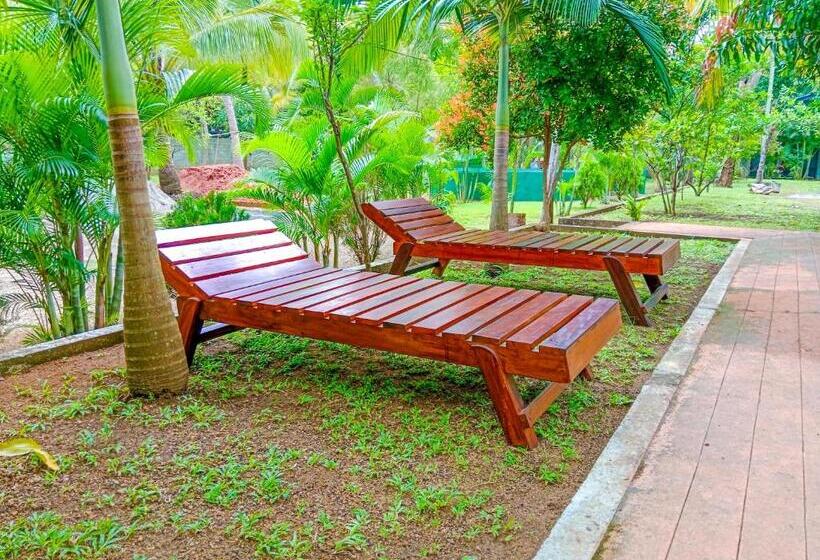 Семейный Номер Вид на Сад, Pride Rock Villa & Tree House