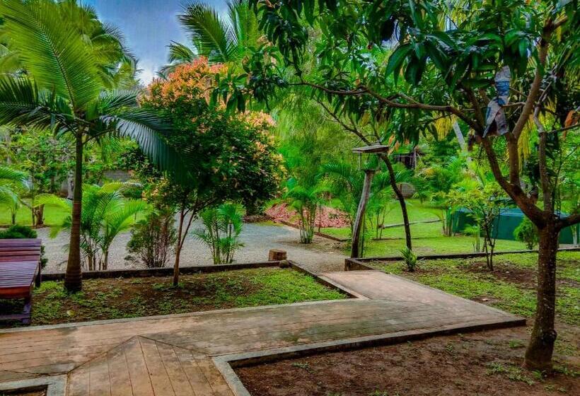 Семейный Номер Вид на Сад, Pride Rock Villa & Tree House