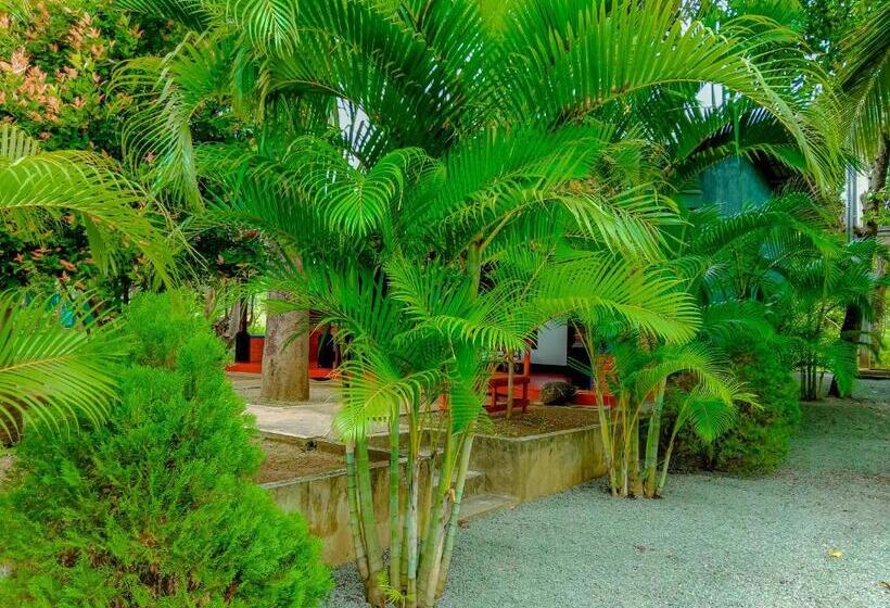 Номер Стандарт, Pride Rock Villa & Tree House