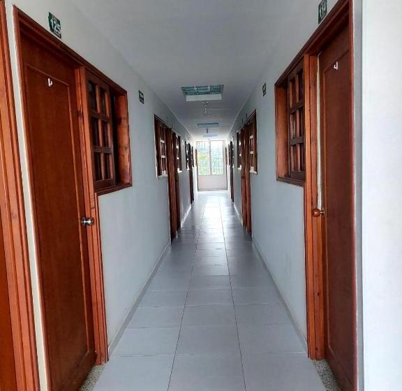 经济房, El Vaquiano