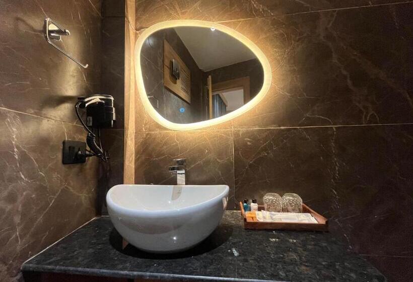 스탠다드 스튜디오, Ashoka