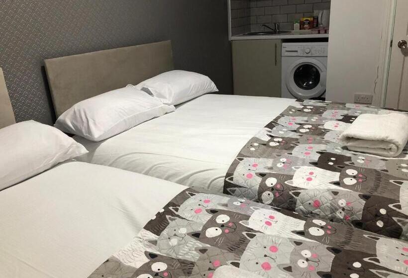 スタンダードルーム, Pandora