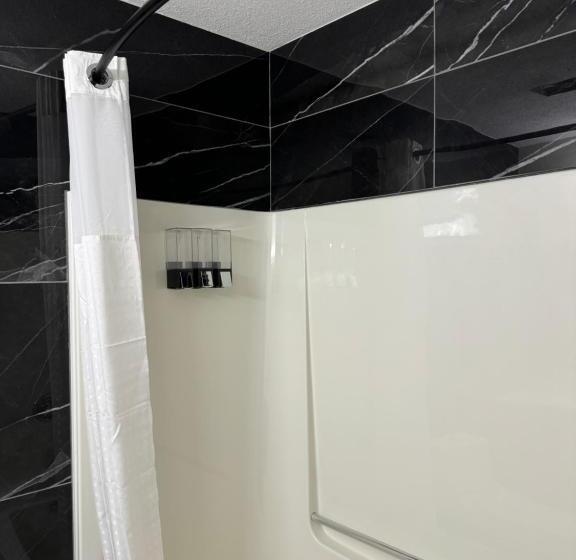 جناح جونيور ديلوكس, The Viking Inn