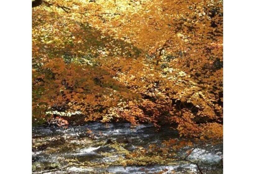 إستوديو قياسى, Oshuku Onsen Hotel Uguisu   Vacation Stay 27315v