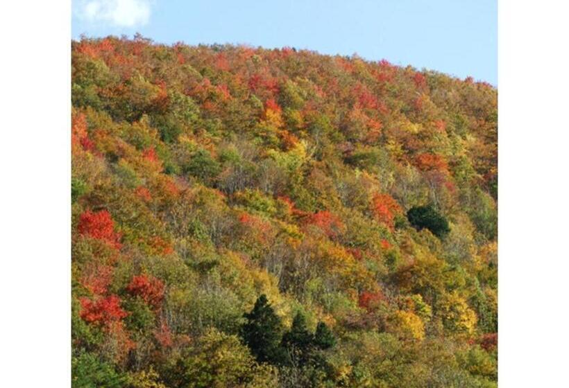 إستوديو قياسى, Oshuku Onsen Hotel Uguisu   Vacation Stay 27315v