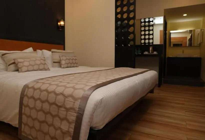 Junior Suite, Sr