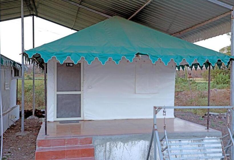 Standard Tent, The Gir Polo Club