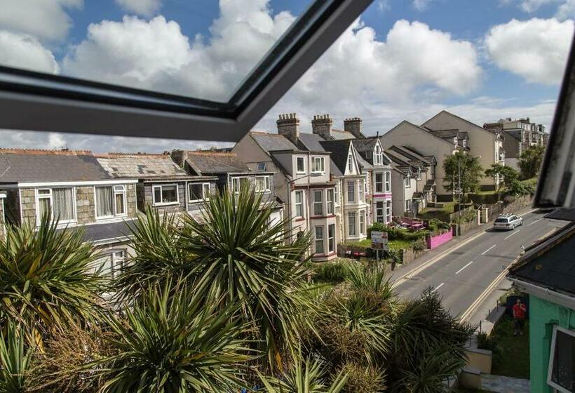 Четырехместный Номер Стандарт, Town Lodge