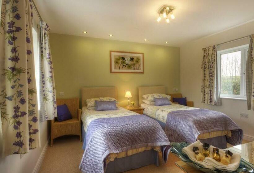 חדר דלוקס לשלושה, Copper Meadow