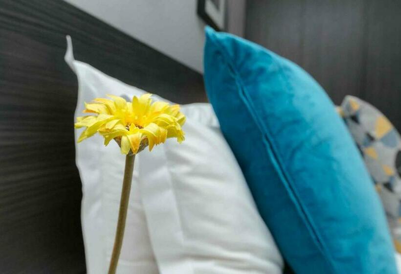 ベーシックルーム, Croft Court