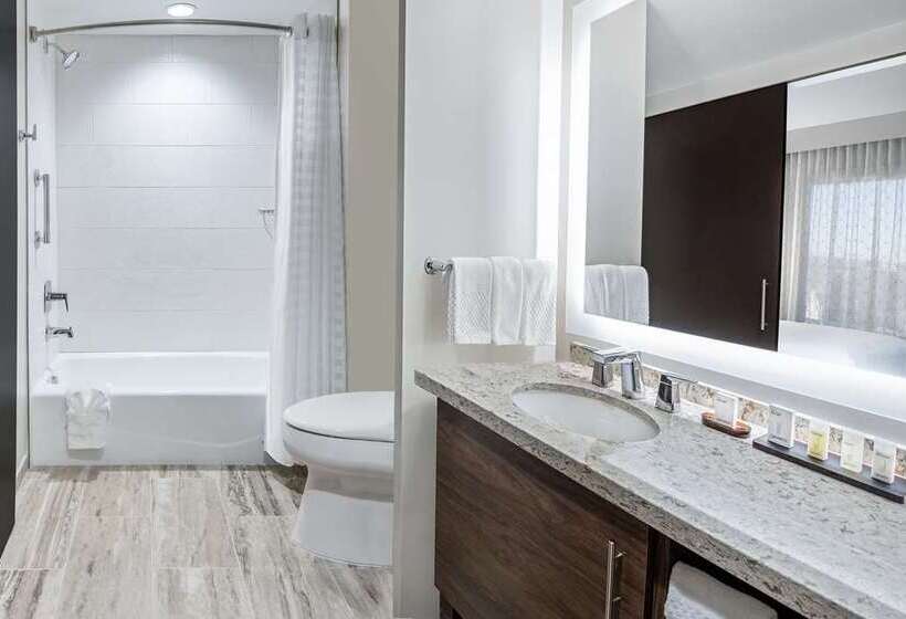 Студия Премиум, Home2 Suites By Hilton Mcallen