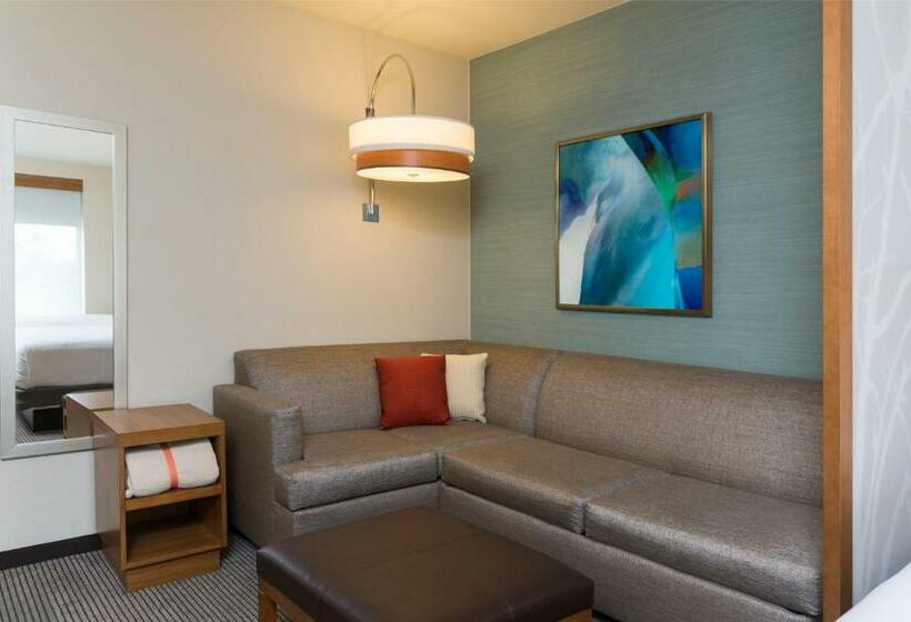 غرفة قياسية سرير كينج, Hyatt Place Sarasota/lakewood Ranch