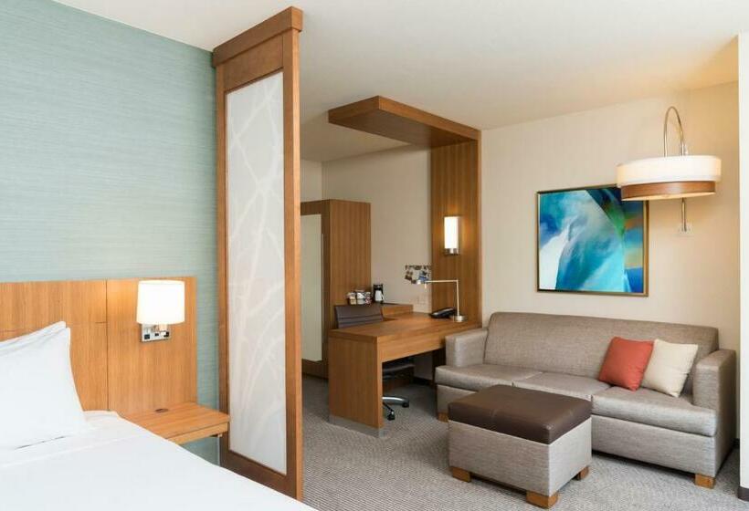 스탠다드 룸 킹사이즈 침대, Hyatt Place Sarasota/lakewood Ranch