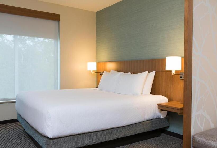 غرفة قياسية سرير كينج لذوى الإحتياجات الخاصة, Hyatt Place Sarasota/lakewood Ranch