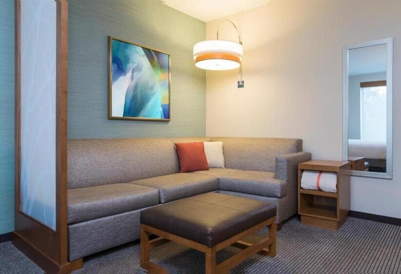 غرفة قياسية سرير كينج لذوى الإحتياجات الخاصة, Hyatt Place Sarasota/lakewood Ranch