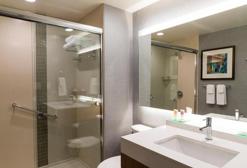 장애인을 위한 킹사이즈 침대 스탠다드 룸, Hyatt Place Sarasota/lakewood Ranch