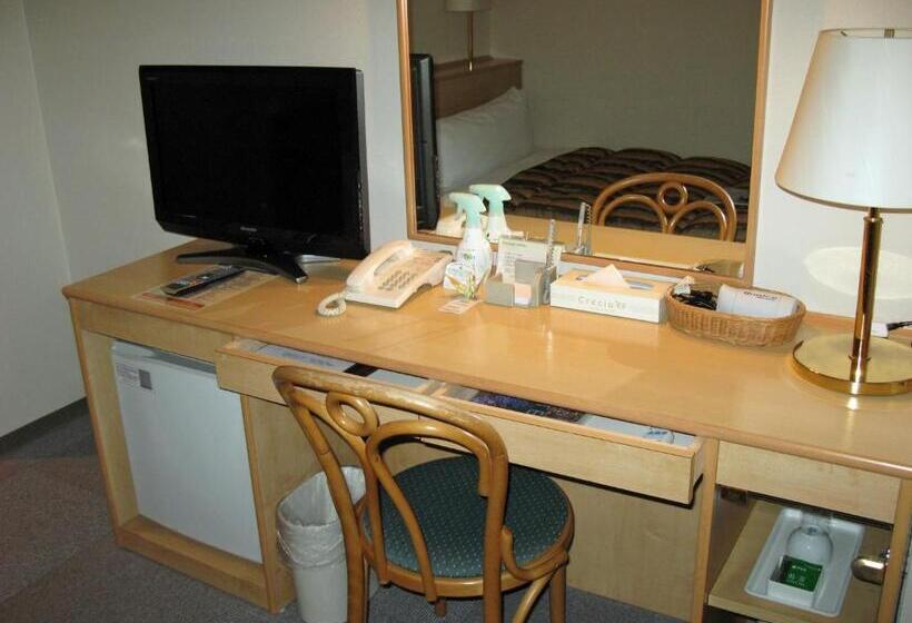 إستوديو قياسى, Oaks Early Bird Osaka Morinomiya