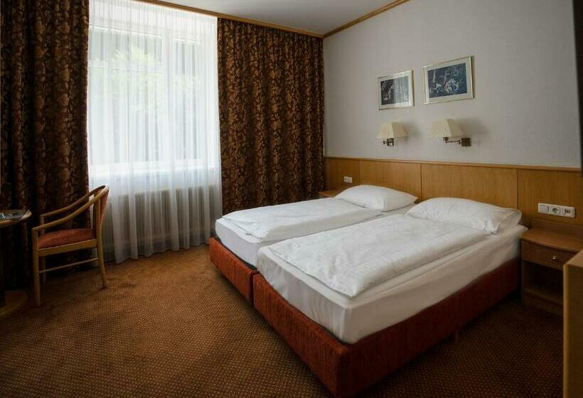 غرفة قياسية, Sporthotel Am Semmering