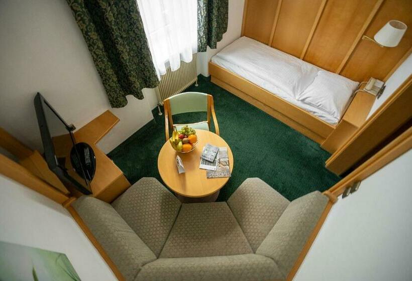 スタンダードシングルルーム, Sporthotel Am Semmering