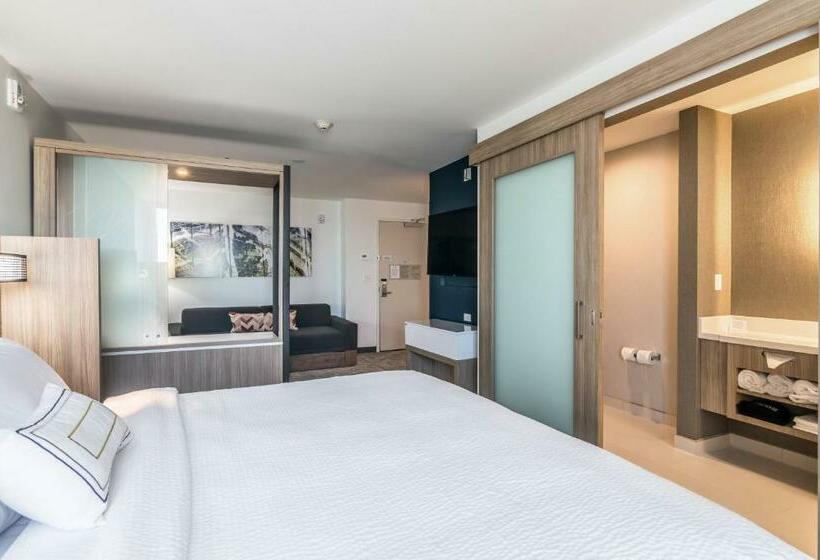 Люкс Кровать Кинг, Springhill Suites By Marriott Oklahoma City Downtown