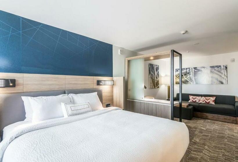جناح سرير كينج, Springhill Suites By Marriott Oklahoma City Downtown