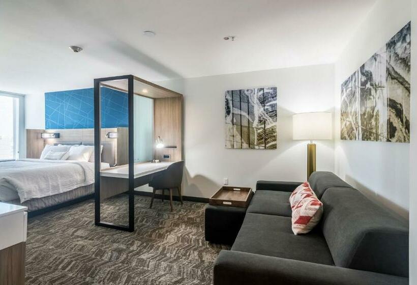 جناح سرير كينج, Springhill Suites By Marriott Oklahoma City Downtown