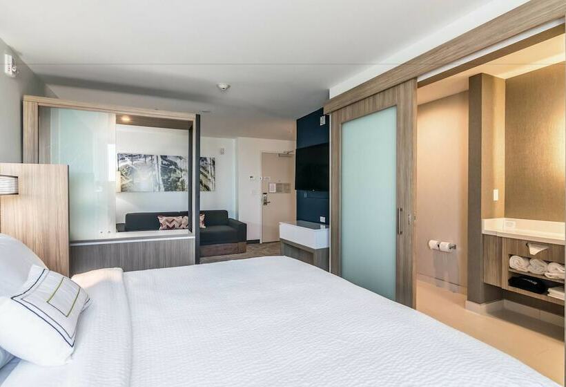 Люкс, Springhill Suites By Marriott Oklahoma City Downtown