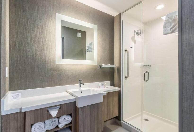 Люкс Кровать Кинг, Springhill Suites By Marriott Oklahoma City Downtown