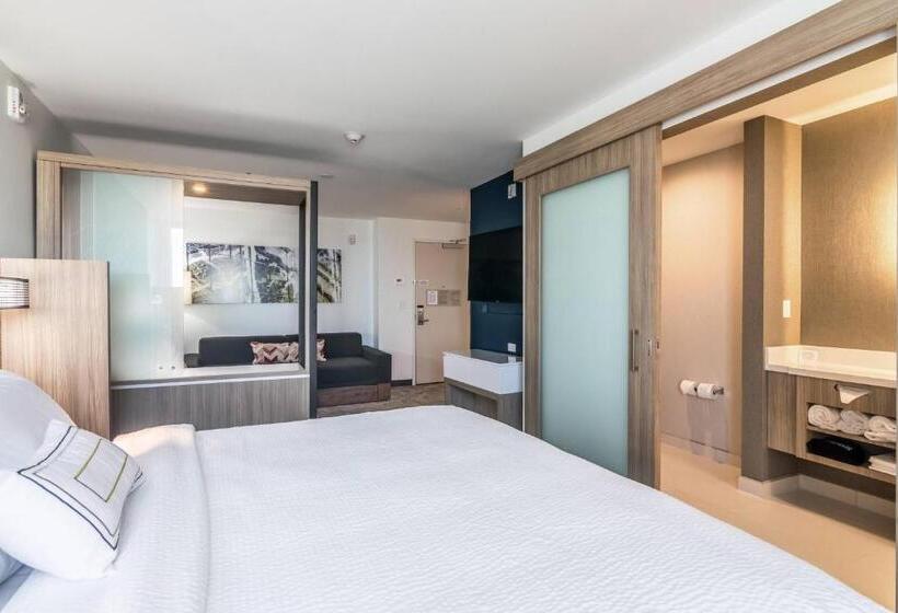 جناح سرير كينج, Springhill Suites By Marriott Oklahoma City Downtown