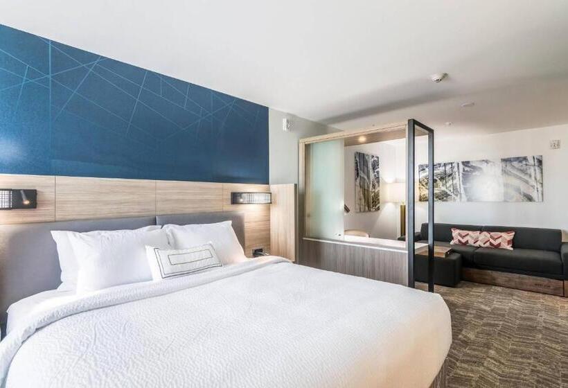 جناح سرير كينج, Springhill Suites By Marriott Oklahoma City Downtown