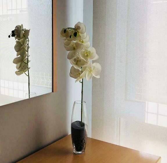 스탠다드 룸, Viñas 17