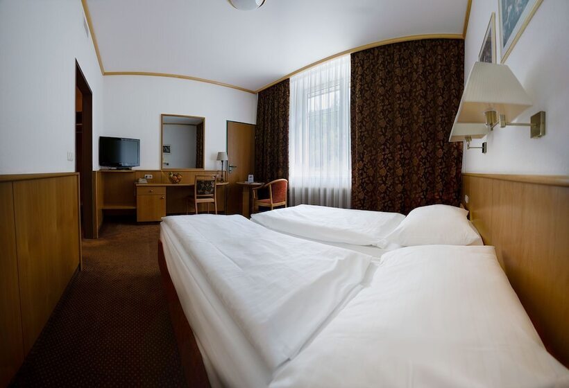 غرفة قياسية, Sporthotel Am Semmering